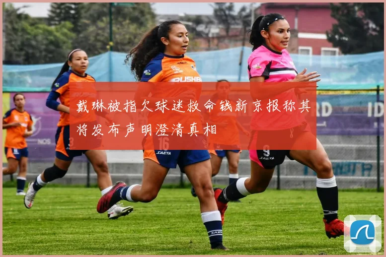 戴琳被指欠球迷救命钱新京报称其将发布声明澄清真相