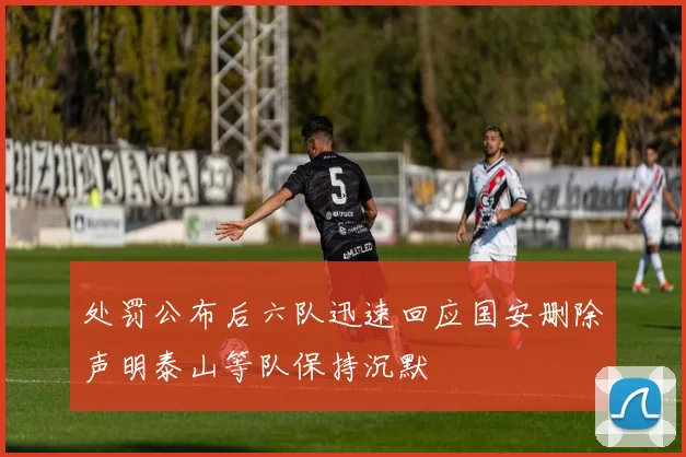 处罚公布后六队迅速回应国安删除声明泰山等队保持沉默