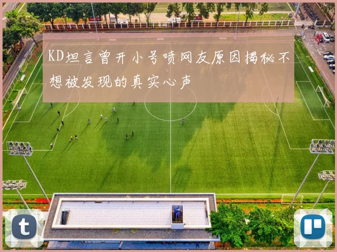 KD坦言曾开小号喷网友原因揭秘不想被发现的真实心声