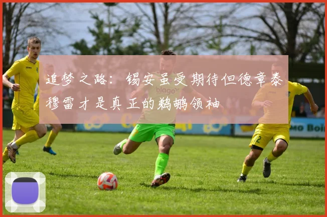 追梦之路：锡安虽受期待但德章泰穆雷才是真正的鹈鹕领袖