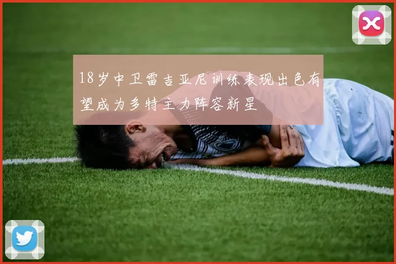 18岁中卫雷吉亚尼训练表现出色有望成为多特主力阵容新星