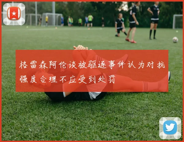 格雷森阿伦谈被驱逐事件认为对抗强度合理不应受到处罚
