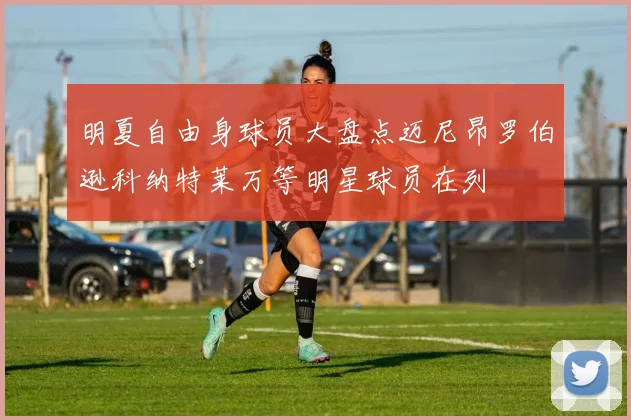 明夏自由身球员大盘点迈尼昂罗伯逊科纳特莱万等明星球员在列