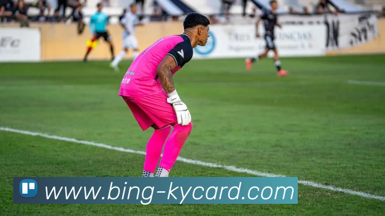 开云棋牌官网发展历程